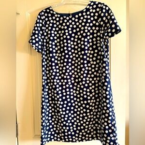 J. Crew Polka Dot Dress